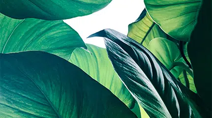 Qu’est-ce que l’image de marque d’une entreprise ?