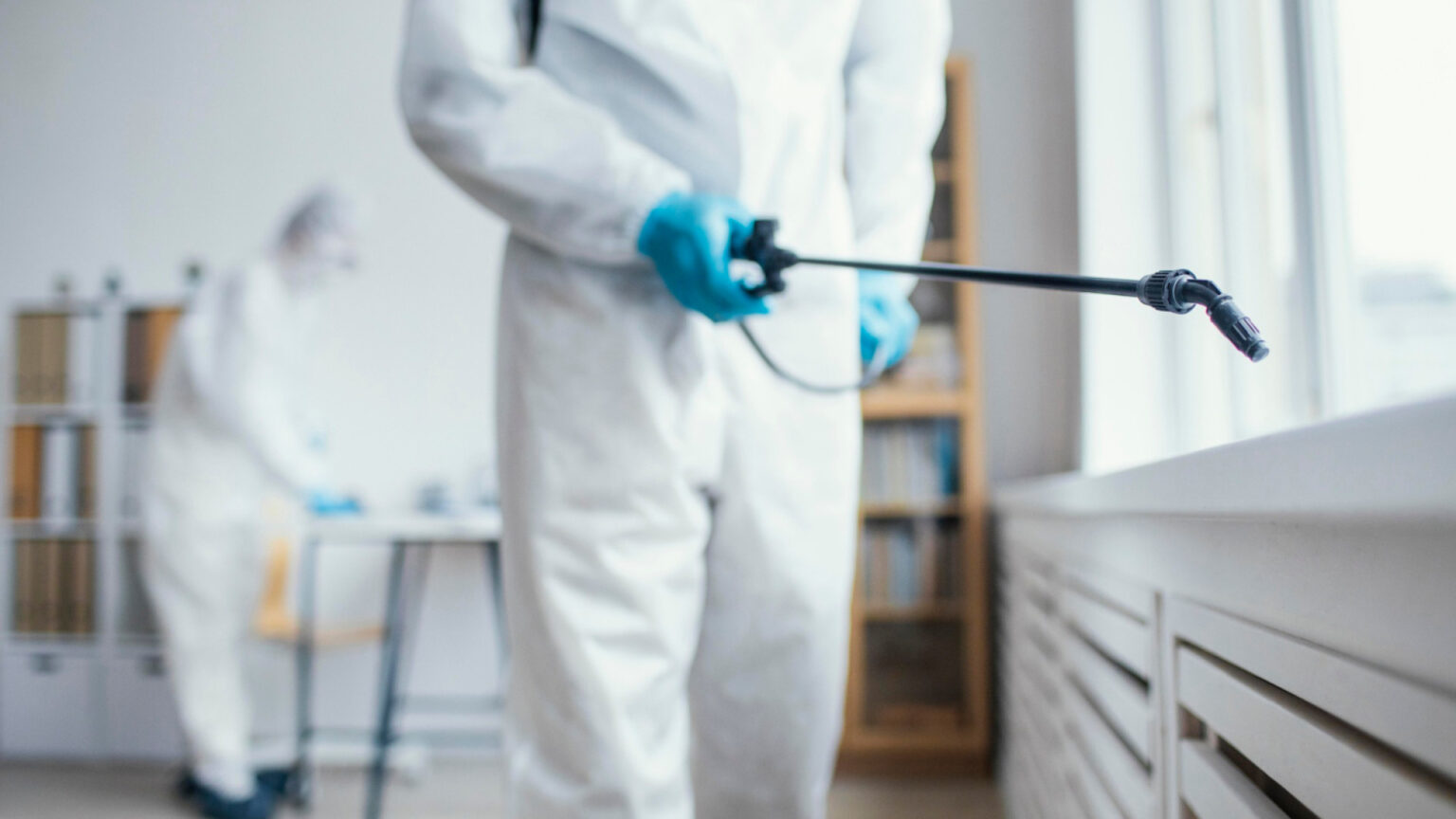 Blattes dans votre entreprise à Aix-en-Provence : agissez vite avec un professionnel