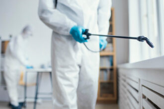 Blattes dans votre entreprise à Aix-en-Provence : agissez vite avec un professionnel