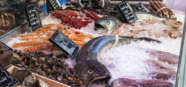 Comment choisir son matériel de poissonnerie ?
