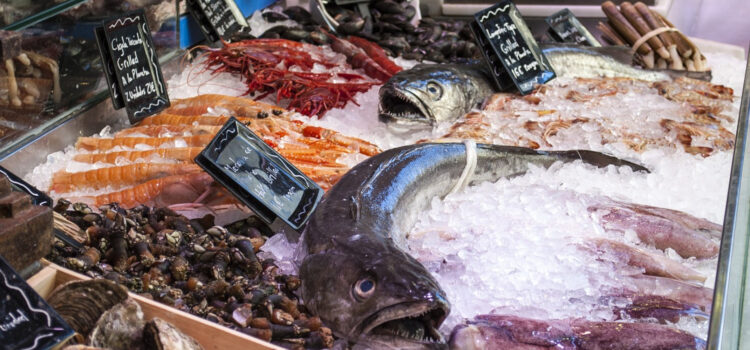 Comment choisir son matériel de poissonnerie ?