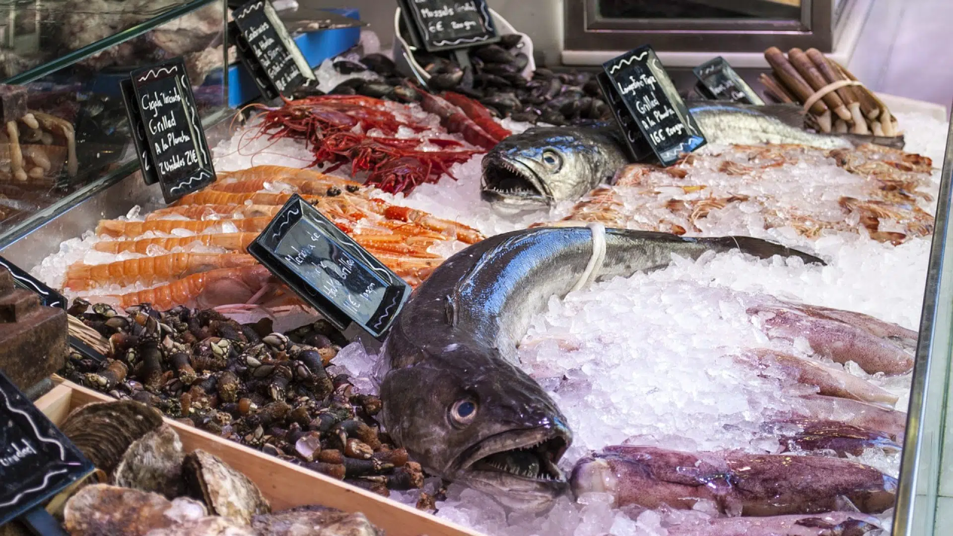 Comment choisir son matériel de poissonnerie ?