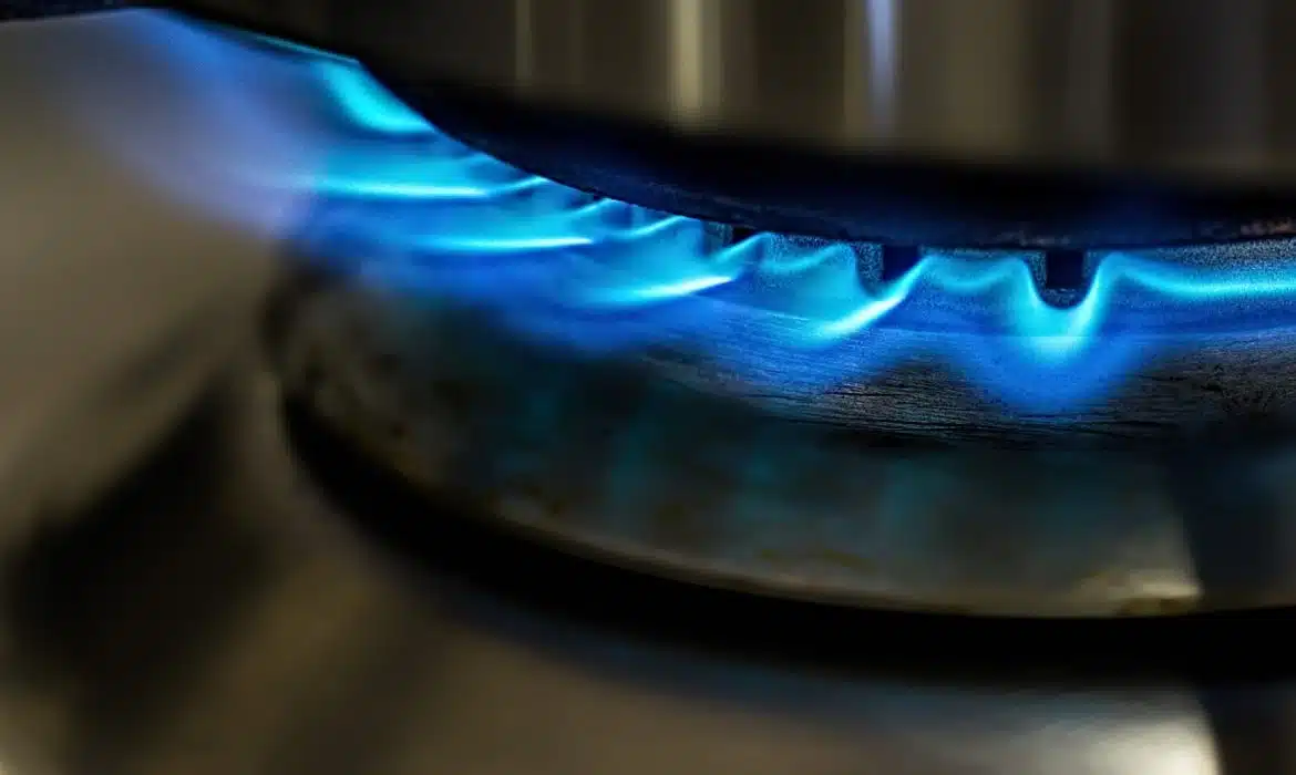 Comment choisir un fournisseur de gaz professionnel ?
