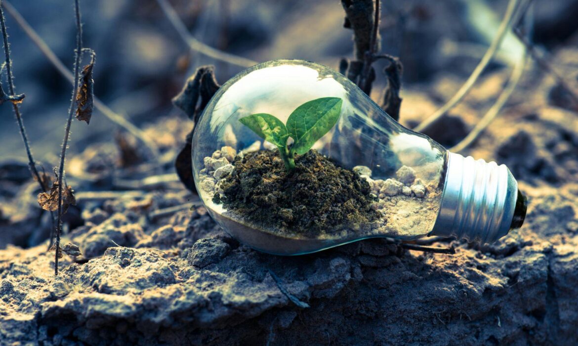 5 conseils pour les startups qui cherchent à entrer dans le secteur de l’énergie verte