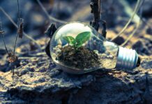 5 conseils pour les startups qui cherchent à entrer dans le secteur de l’énergie verte
