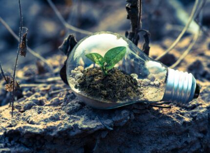 5 conseils pour les startups qui cherchent à entrer dans le secteur de l’énergie verte