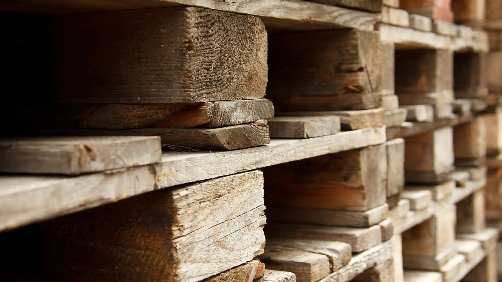 La collecte de palettes : un enjeu écologique majeur