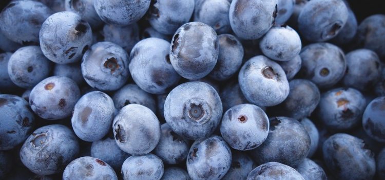 Quels équipements utiliser pour mettre ses produits au frais ?