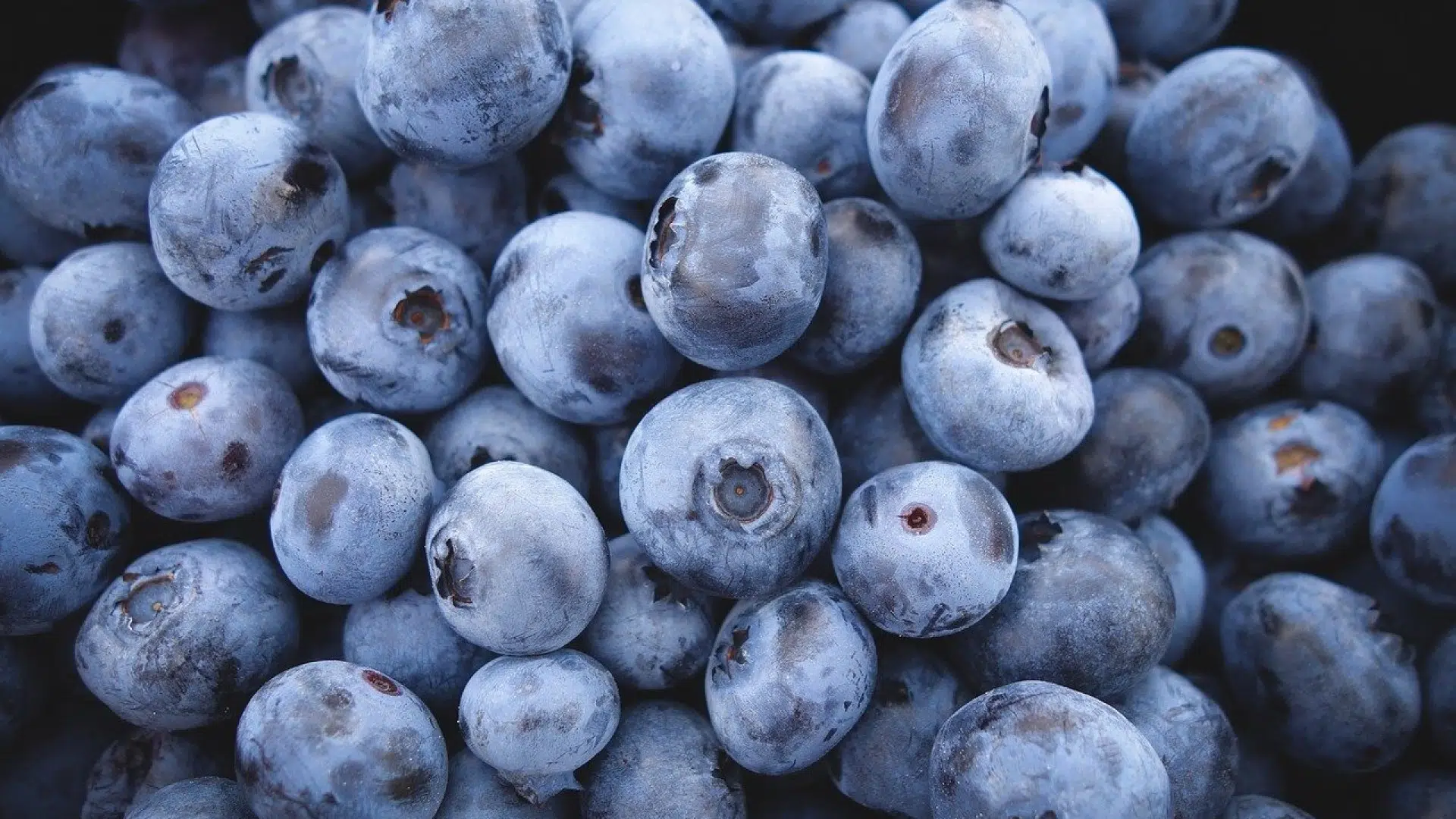 Quels équipements utiliser pour mettre ses produits au frais ?