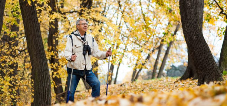 Comment savoir si on cotise pour la retraite ?