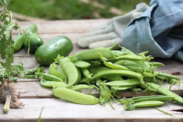 Comment créer un micro projet ?